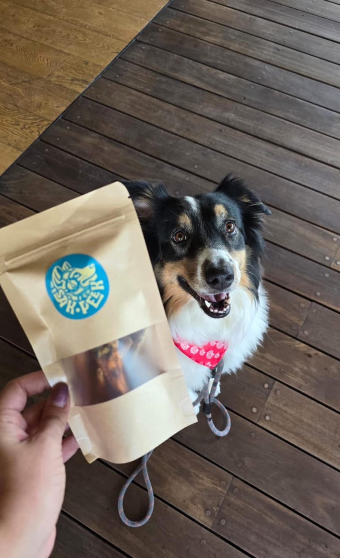Patitas de Pollo Deshidratadas, Snack o Botana para Perro Marca SAKPEEK.